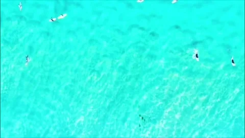 Tiny Surfers at Bondi Beach Sydney Video stock 112363999