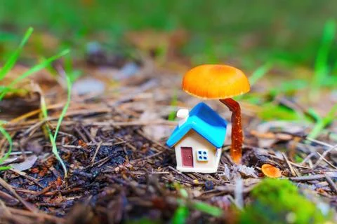 Tiny Toy House Set under a Mushroom in the Woods Stockfoto's