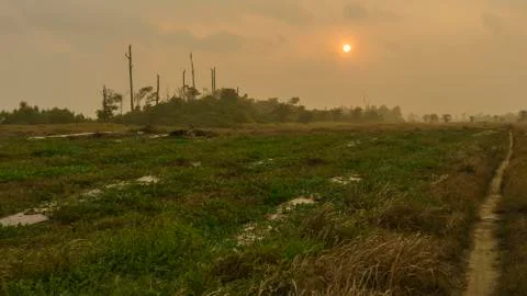Tiny track leading through gardens farm fields on not colorful sunset because Stock Photos
