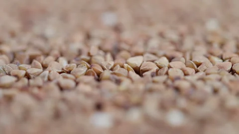 Tiny triangular grains in focus, Close examination of buckwheat groats showing t Stock Footage 325648004