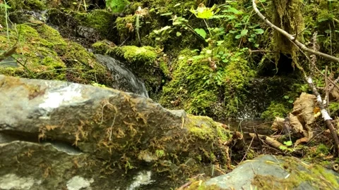 Tiny Trickle Stock Footage 160316306