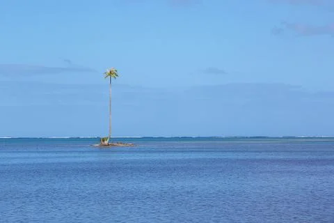 Tiny tropical island with a single palm tree Stock Photos