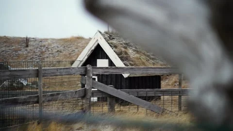 Tiny Turf Little Viking House with Grass on the Roof Video stock 145480239