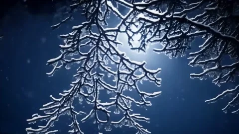 Tiny twigs, trees covered with snow, falling snow, view from below to the s.. 動画素材 255897622