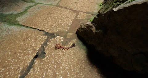 Tiny uprooted plant lying at stone pavement at bottom of canyon, camera tilt up 動画素材 329488682