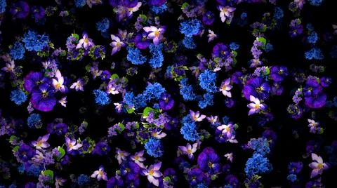 Tiny violets flower composition on black background Stock Illustration