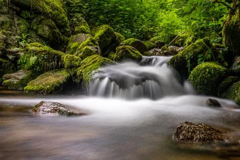 Tiny waterfall in black forest, germany Stock Photos