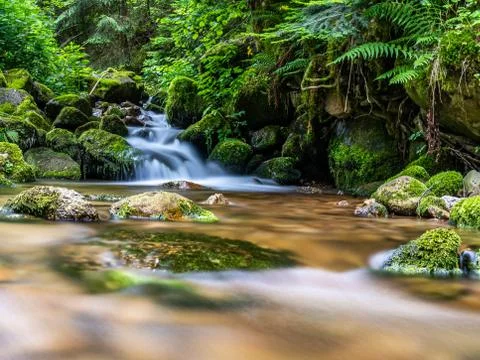 Tiny waterfall in black forest, germany Stock Photos