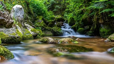 Tiny waterfall in black forest, germany Stock Photos