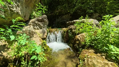 Tiny waterfall cascades over mossy rocks. Gradasnica River Canyon, Serbia Vídeos de archivo 342321186