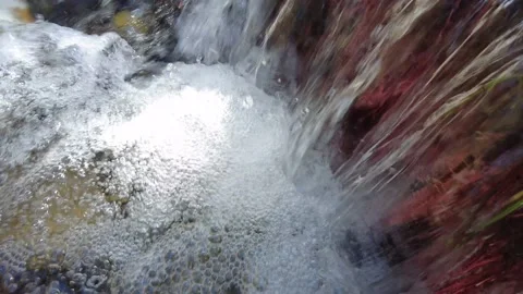 Tiny waterfall with clean clear and pink roots 4K Stock Footage 162098179