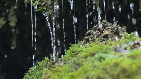 Tiny waterfall closeup dribbles on moss 스톡 동영상 51049974