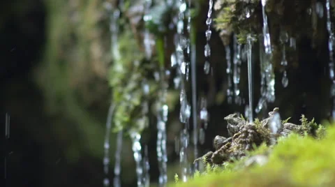 Tiny waterfall closeup dribbles on moss Video stock 51053741