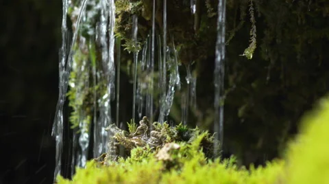 Tiny waterfall closeup 스톡 동영상 51047558