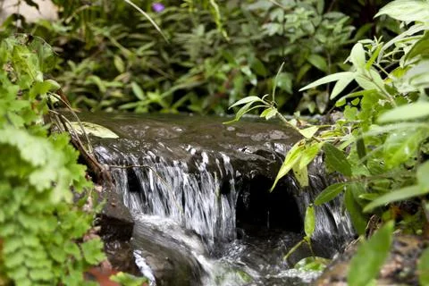 Tiny Waterfall in a Creek Stock Photos