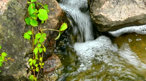 Tiny Waterfall Stock Footage 51681746