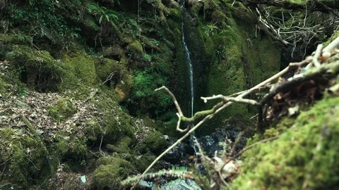 Tiny waterfall Stock Footage 122140504