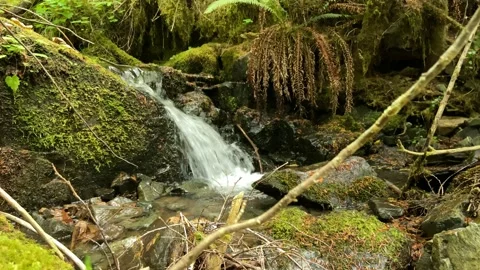 Tiny Waterfall Stock Footage 160316238