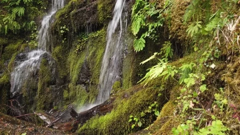 Tiny Waterfall Stock Footage 160316240