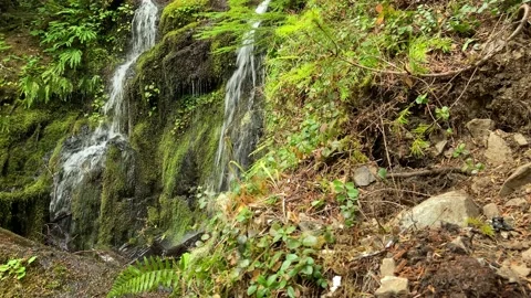 Tiny Waterfall Stock Footage 160316285