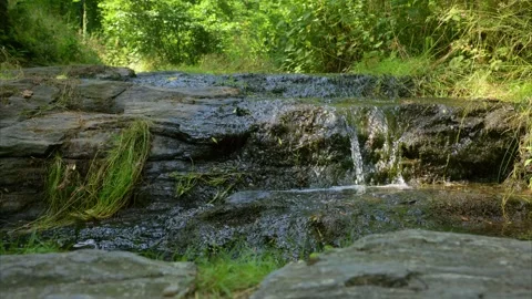 Tiny waterfall over mossy rocks on stream in forest Stock Footage 292614068