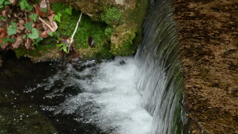 A Tiny Waterfall in the Peaceful Woodland Stock Footage 241289698