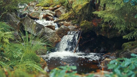 A tiny waterfall on the shallow stream in the lush green summer forest. Video stock 268024839