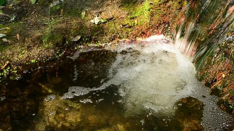Tiny waterfall in small river with fast flowing clear water Stock Footage 88109896
