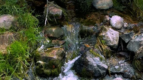 Tiny waterfall. Water going through stones in tiny river surrounded by Stock Footage 111945654