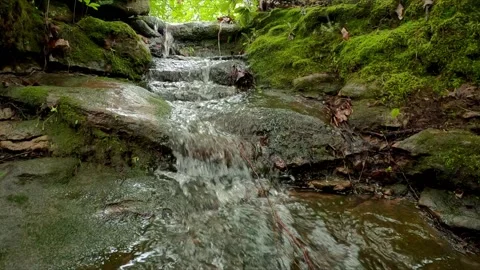 Tiny waterfall in woods, with water running over rocks, in slow motion Stock Footage 197919673