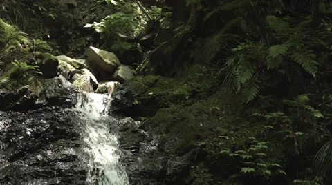 Tiny waterfall zoomed up, color graded Full HD (1920x1080) Stock-Footage 39344018