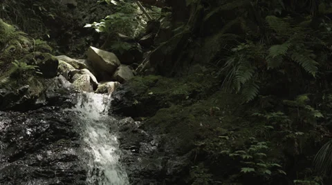 Tiny waterfall zoomed up, non color graded Full HD (1920x1080) Video stock 39341311