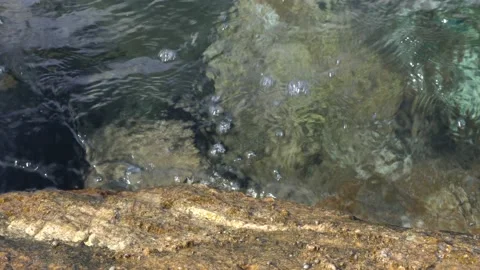 Tiny waves on the calm sea. The surface of the sea is very smooth. Blue clear 스톡 동영상 153741670