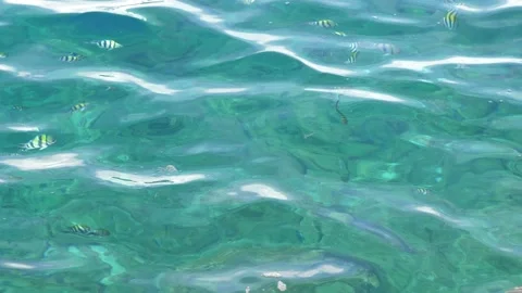 Tiny waves on the calm sea. The surface of the sea is very smooth. Blue clear Stock Footage 153743994