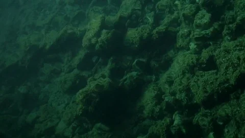 Tiny waves on green sea water Stock-Footage 79663395