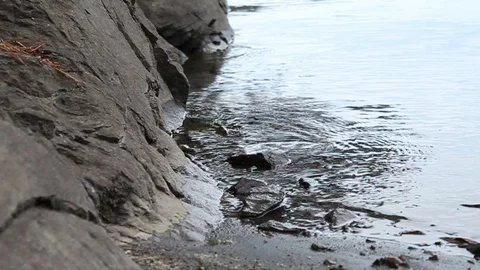 Tiny waves hitting rocks Stock Footage 128450836