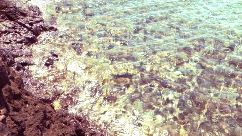 Tiny waves at the seaside 動画素材 259060712