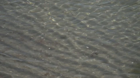 Tiny waves on top of the crystal clear water in the sunlight Stock Footage 117675340