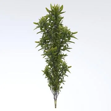 Tiny Weed isolated on white background Illustrazione stock