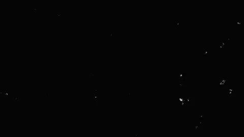 Tiny white particles drift slowly in dark void during cinematic night scene.. Video stock 342520307
