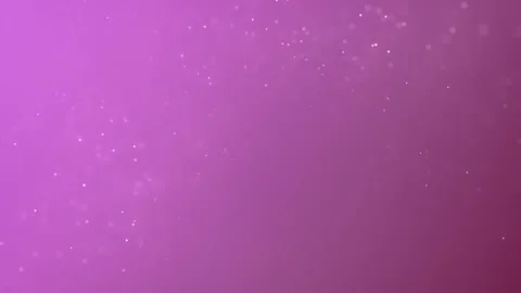 Tiny white particles waving pink screen Stock Footage 257086772