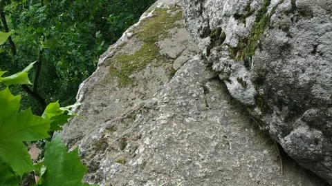 Tiny wild lizard crawling out from hiding under a rock Stock Footage 121672448