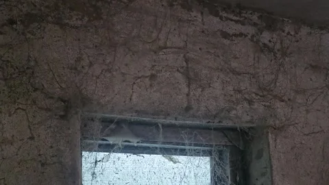 Tiny window with blue wooden frame in old house covered in cobwebs rustic Stock Footage 339030245