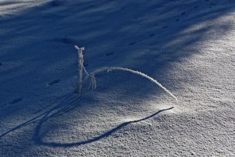 Tiny winter landscape Stock Photos