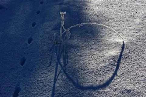 Tiny winter landscape Stock Photos