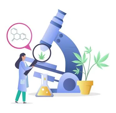 Tiny woman scientist making cannabis laboratory research Stock Illustration