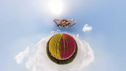 A tiny world filed of flower with a drone Stock Footage 88349161