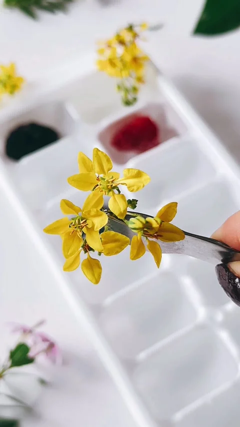 Tiny yellow flowers, macro, floral, botanical, delicate, small, Stock Footage 278435761