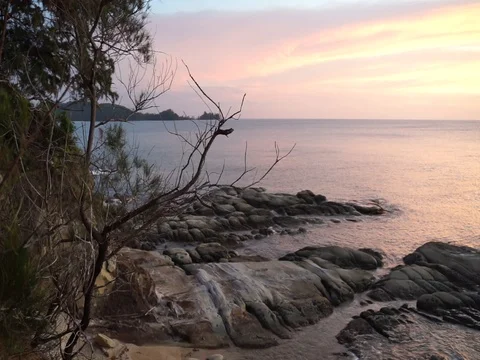 The tip of borneo sunset in selective focus Stock-Footage 107170527