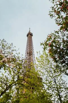 Tip of the Eiffel Towers Top Reaching Out of some Tree Branches into the Sky Stock Photos